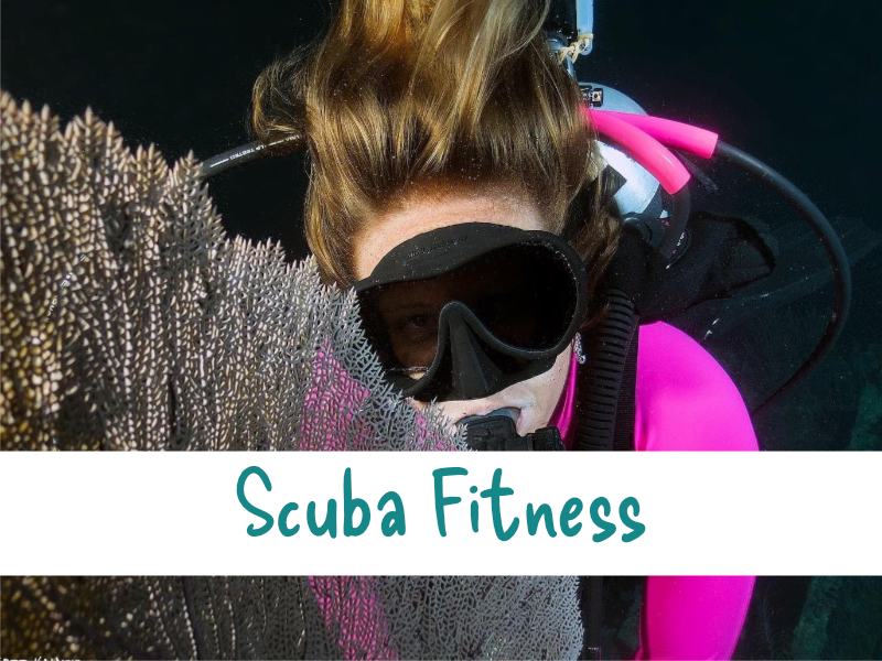 Scuba Fitness Homepage Box